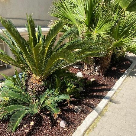 Casa Cacao Pres Plage Et Velodrome مارسيليا المظهر الخارجي الصورة